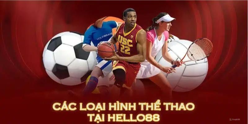 Cược Thể Thao S-Sports: Đặt Cược Chính Xác, Lợi Nhuận Cao 3 Điểm danh các loại hình cá cược